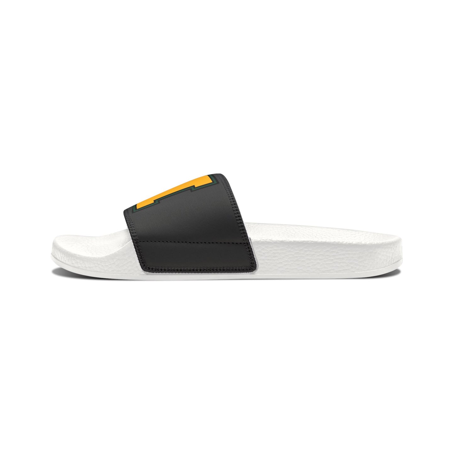 Bearcat Slides