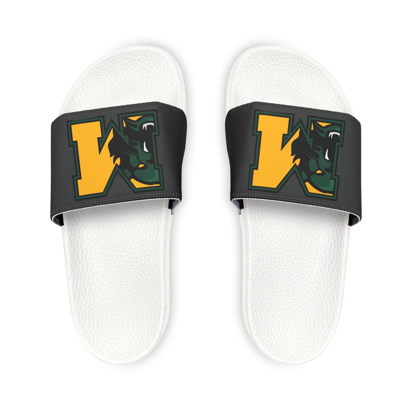 Bearcat Slides