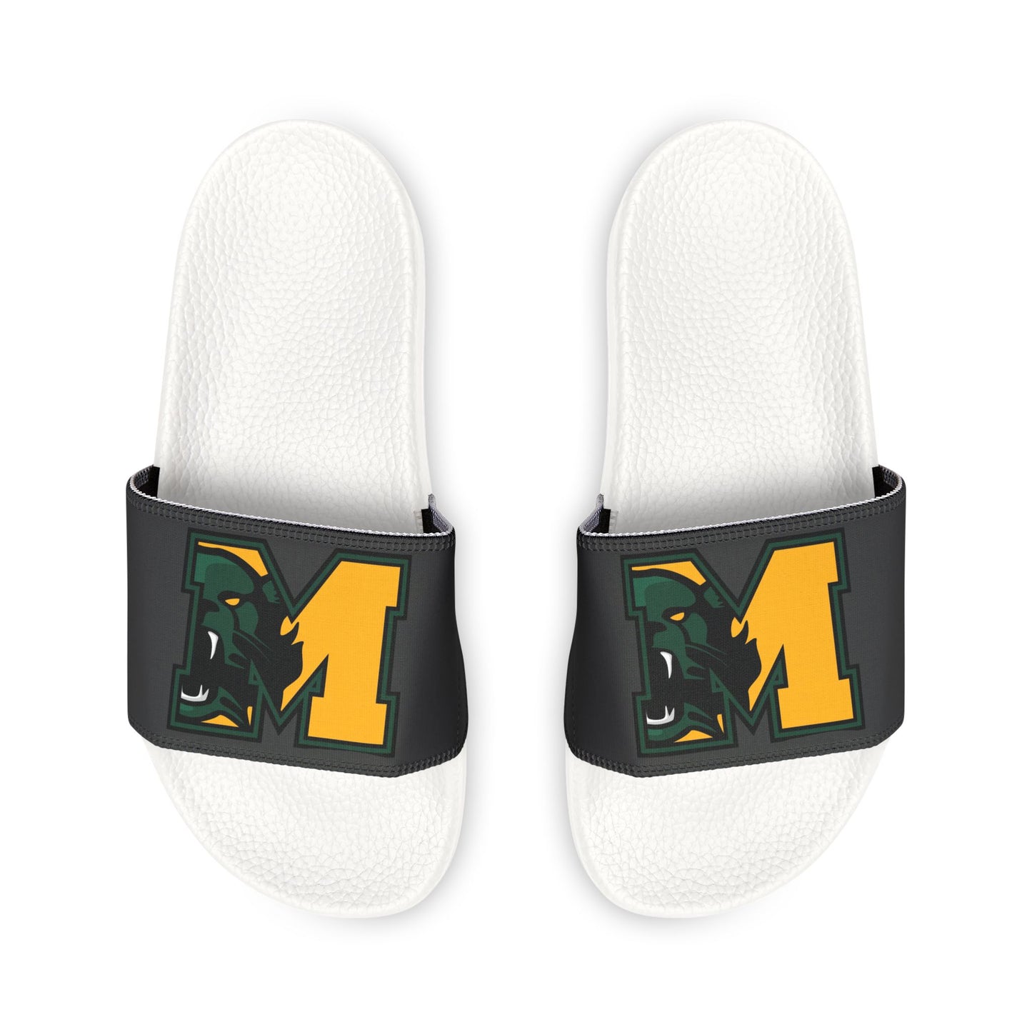 Bearcat Slides