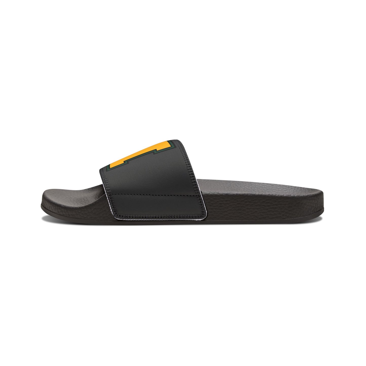 Bearcat Slides
