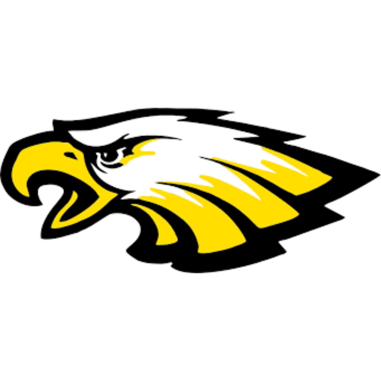 Bruceville-Eddy Eagles