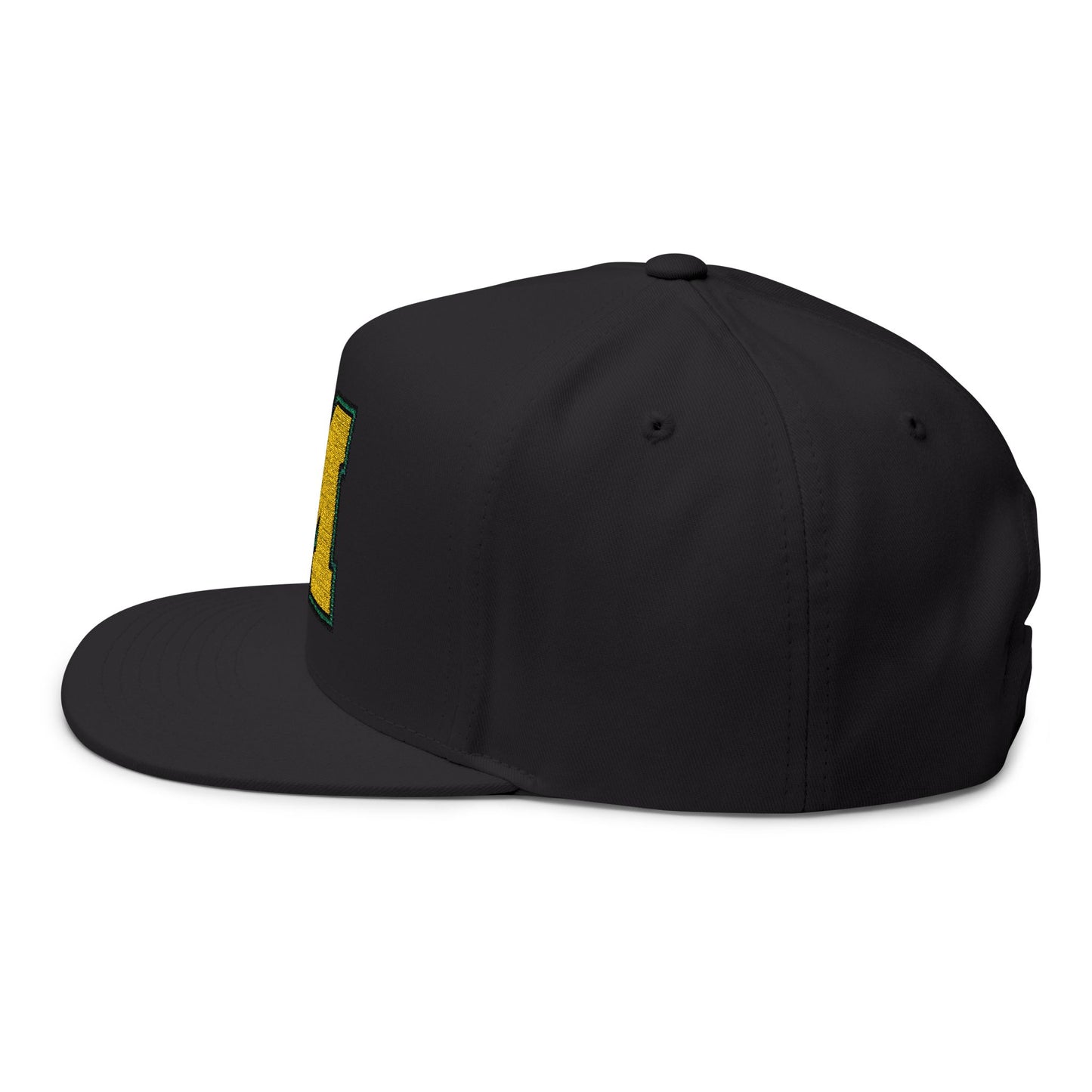 Embroidered Flatbill Snapback Hat