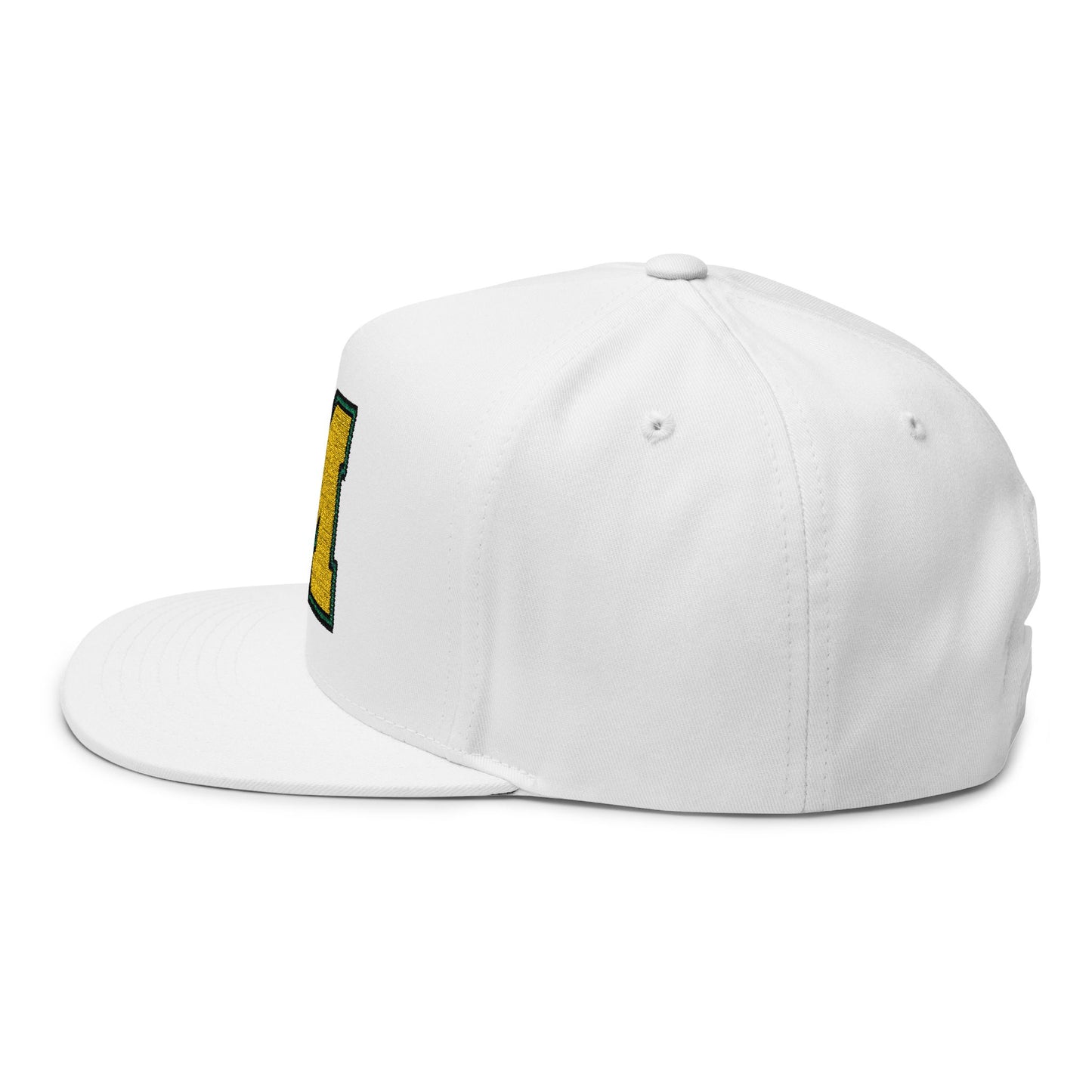 Embroidered Flatbill Snapback Hat