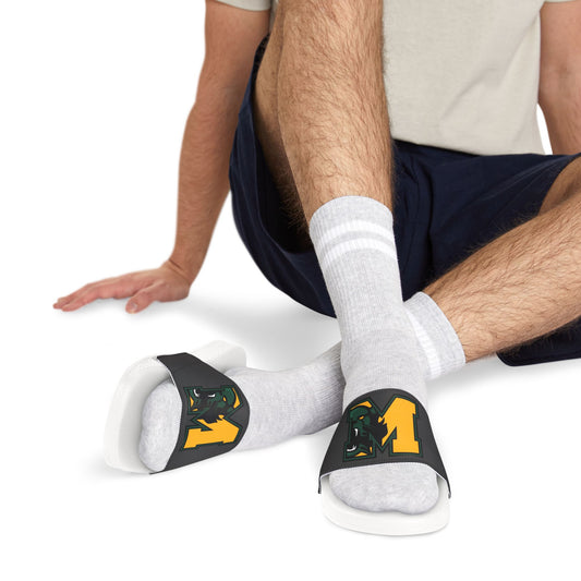Bearcat Slides